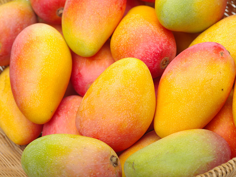 NLBMangoes