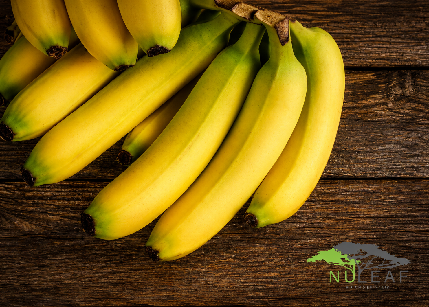 Banana 2 NLB Background